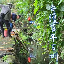 永續城鄉 × 城市觀察與綠色行動