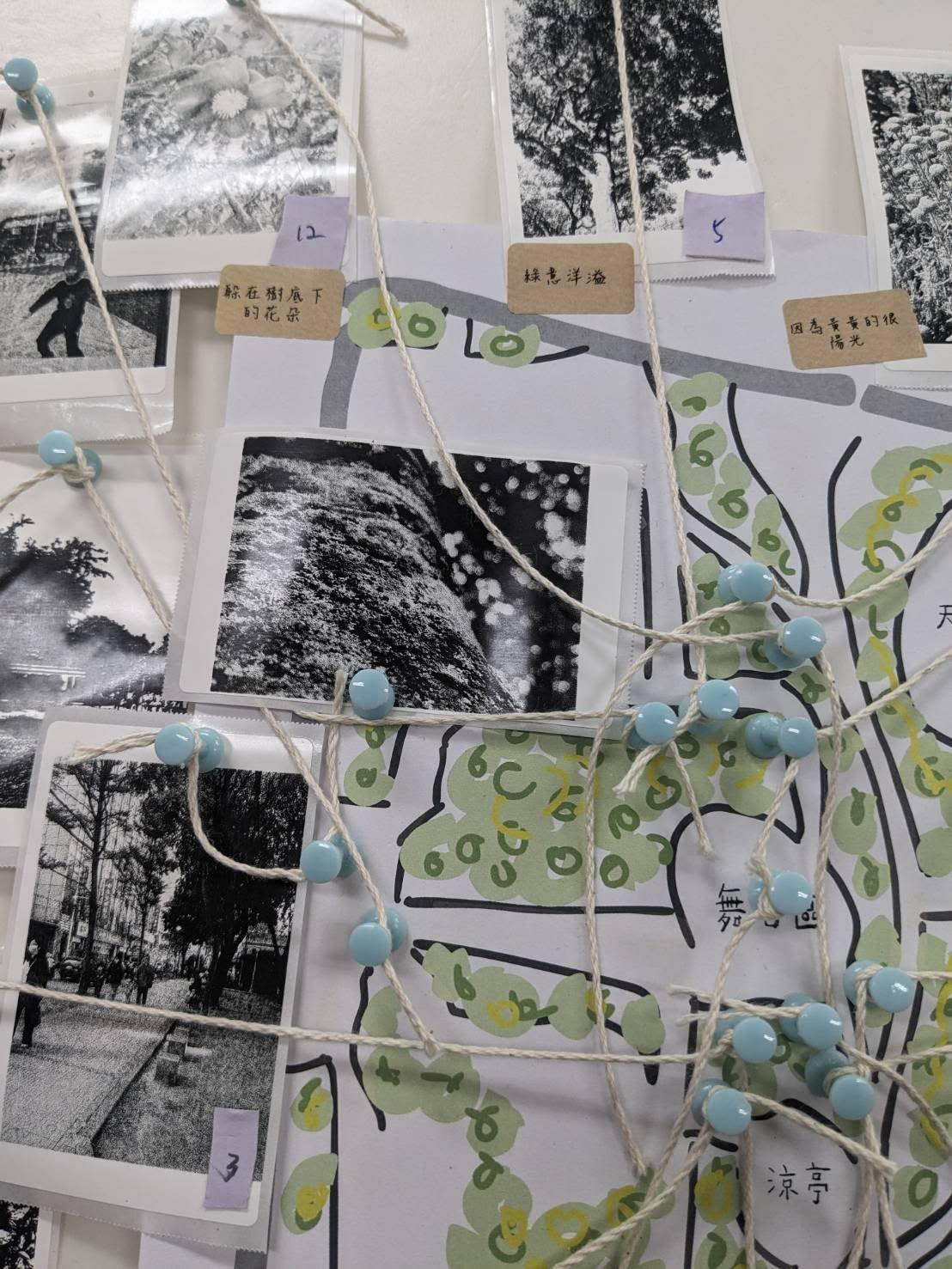 【自然散策｜崑崙公園場｜成果展】