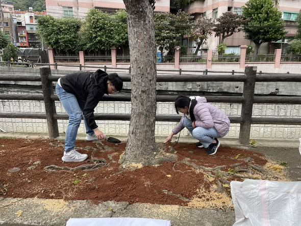 塔寮坑溪行道樹｜從土壤開始的環境教育行動
